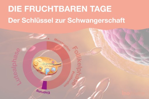 Vom Kinderwunsch zum Wunschkind