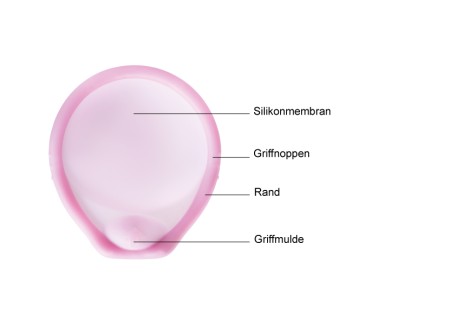 Caya Diaphragma Beschreibung