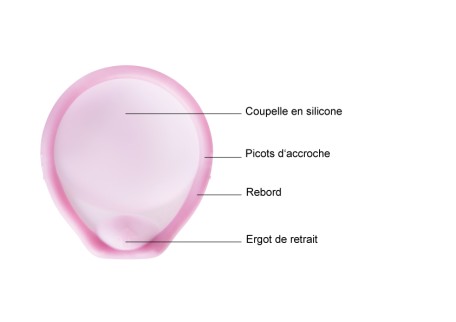 Caya Diaphragme Description