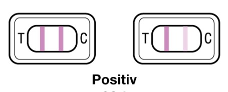 Evial Ovulationstest positiv