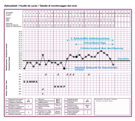 Esempio di curva del ciclo della temperatura corporea basale