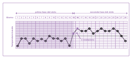 Curva del ciclo della temperatura corporea basale