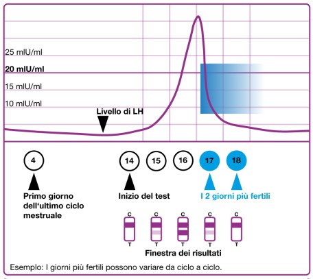 Curva LH, ciclo, inizio del test e ovulazione