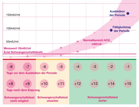Evial Schwangerschaftstest Anwendungszeitpunkt und HCG Kurve