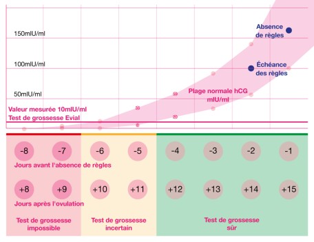 Test de grossesse HCG courbe et utilisé