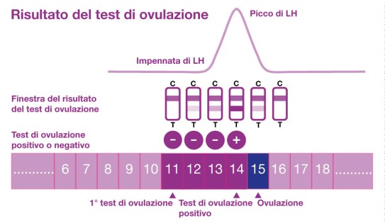 Risultato del test di ovulazione