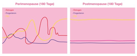 Hormone vor und nach Menopause