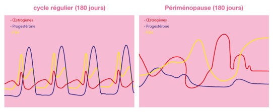 Cycle régulier et périménopause