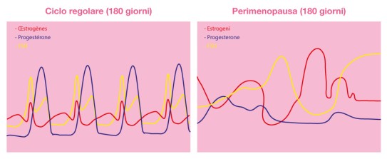 Ciclo regolare e perimenopausa