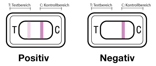 Ergebnis Schwangerschaftstest