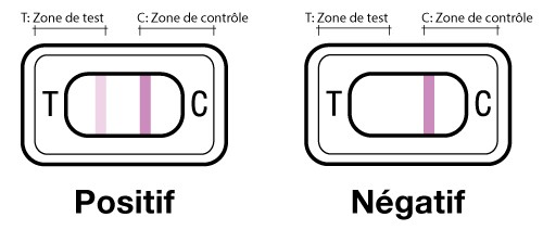 Comment un test de grossesse indique-t-il son résultat