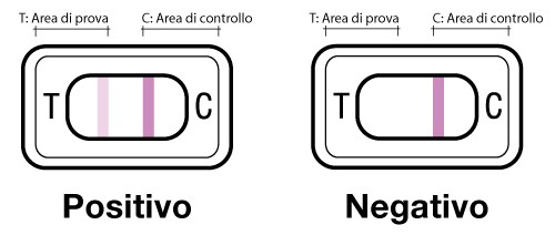 Come viene indicato il risultato di un test di gravidanza