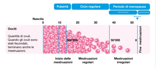 Processo di menopausa